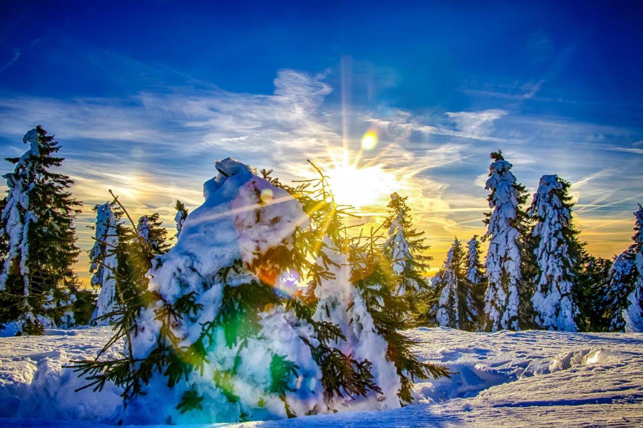 Mountain Apartment Klinovec Atomic Loučná pod Klínovcem Exteriör bild